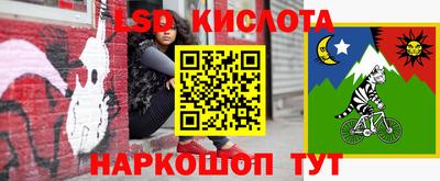 шишки Краснодар