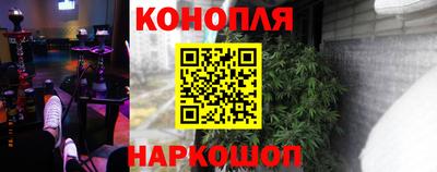 шишки Краснодар