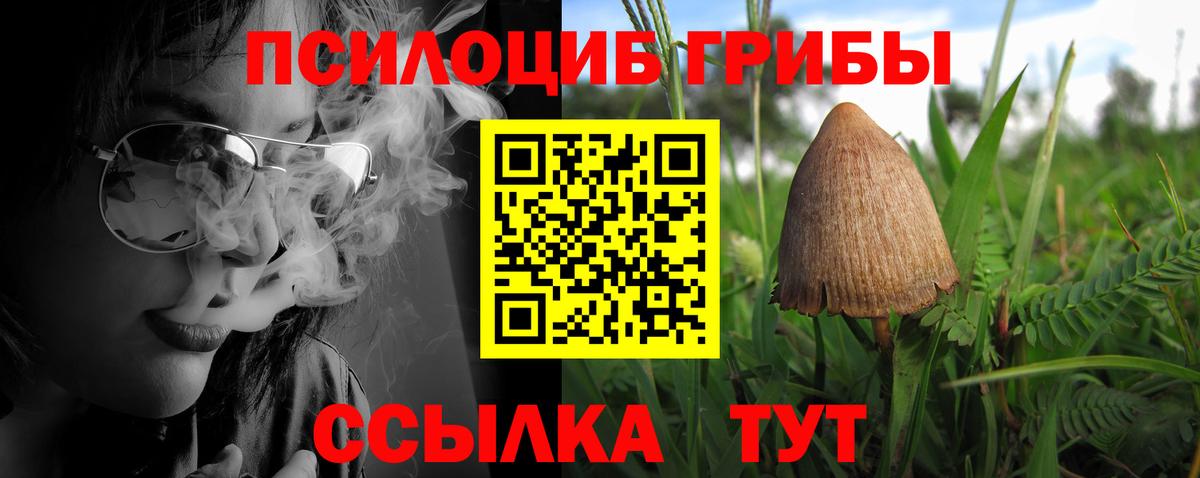 Кириши  Псилоцибиновые грибы мицелий  как найти закладки  Вход с VPN 